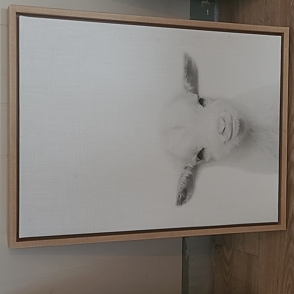 18x24 inch Baby Lamb Canvas with Frame - Picture 1 of 4